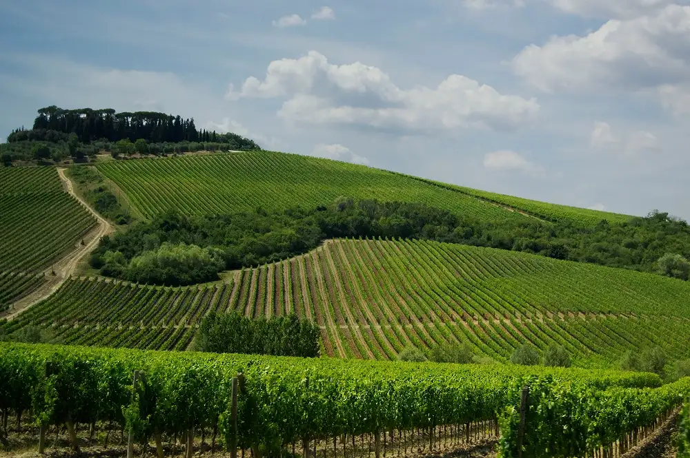 Italian wine regions: Barolo