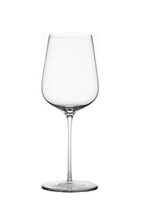 Glasvin Universal Wine Glasses (Set of 2)