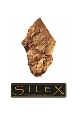 Pouilly Fume Silex 2020 – Didier Dagueneau
