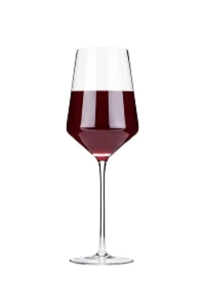 Raye Crystal Bordeaux Glasses – 16 oz/10,5 inches (Set of 2)