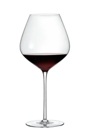 Wine Enthusiast Aria Pinot Noir Handblown Wine Glasses