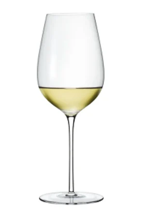 Wine Enthusiast Aria Universal Handblown Wine Glasses-Set of 2