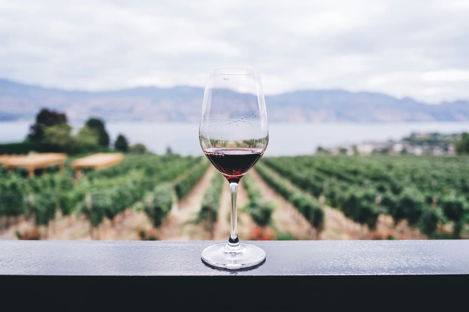How is red wine made