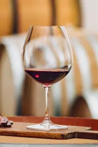 Riedel Vinum Pinot Noir