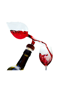 Areadivino Wine Aerator and Decanter