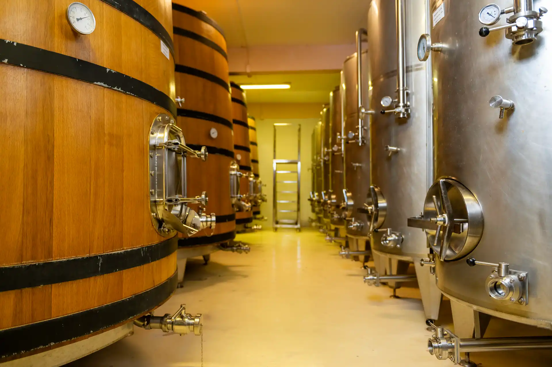 leading red wine producing countries worldwide