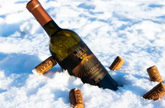 10+ Best Ice Wines of 2025