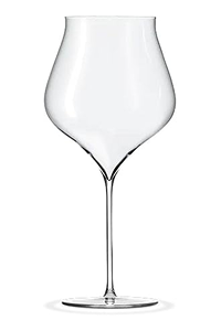 Notes Burgundy Wine Glass