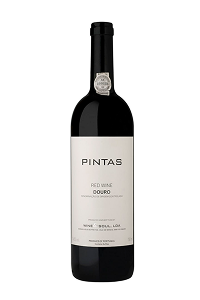 Semi sweet red wine. Wine & Soul Pintas 2021 - Portugal