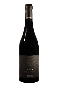 Amarone della Valpolicella Bosan Riserva DOCG – Cesari 2013