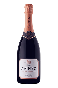 Avinyo La Ticota Gran Reserva Brut Nature Cava 2016 – Spain