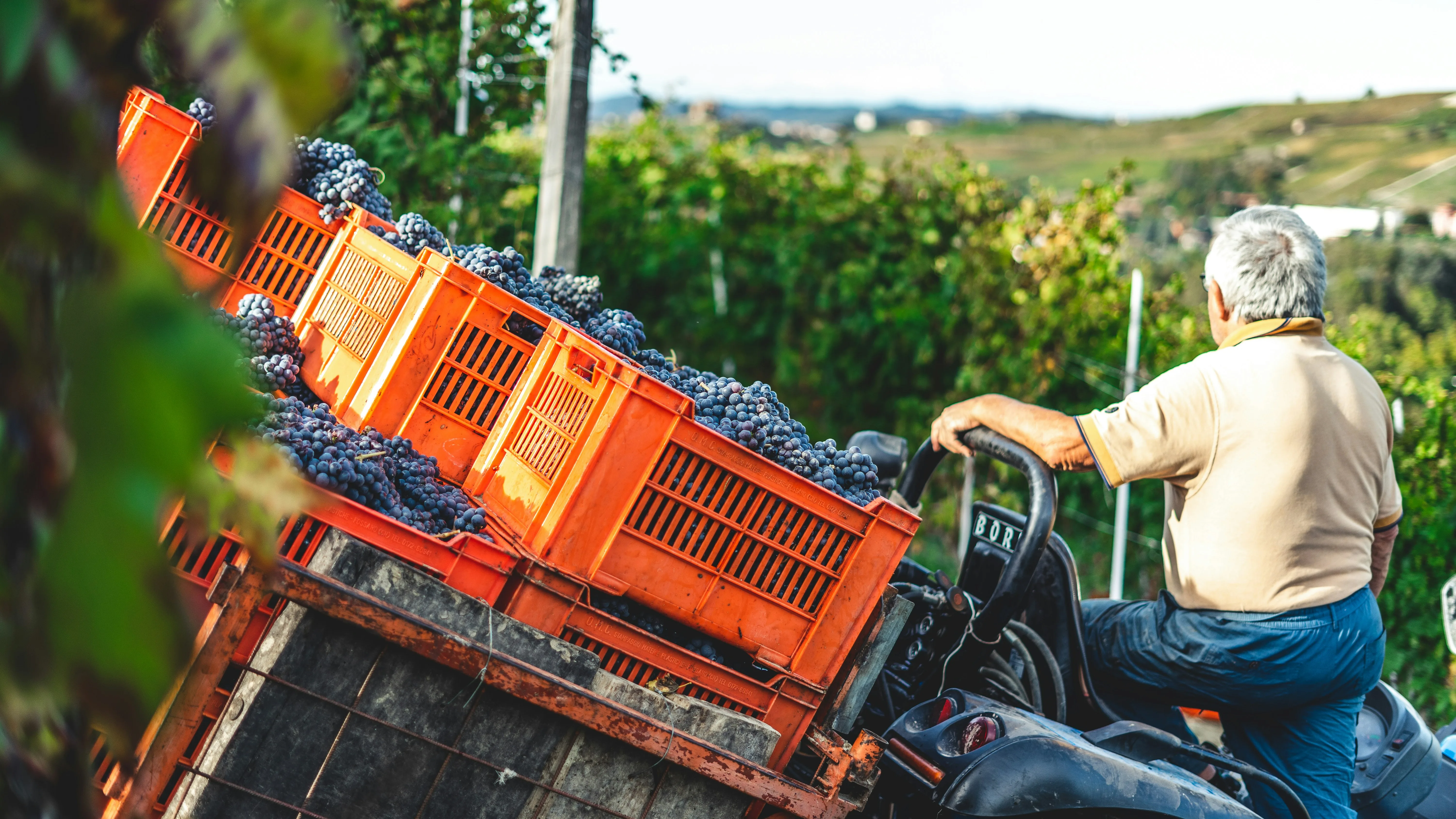 How is sweet white wine made