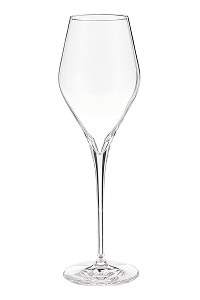 Schott Zwiesel Champagne Flute – Set of 6