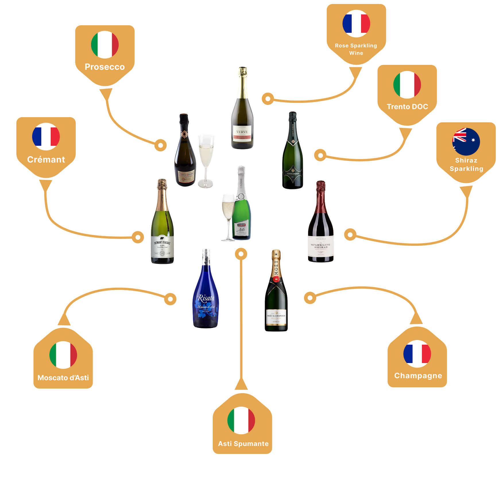 Types of sparkling wine varieties