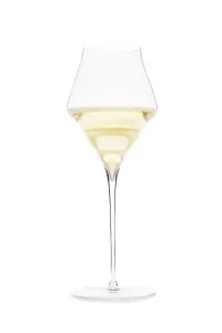 JOSEPHINE No 4 Champagne glasses (Set of 6)