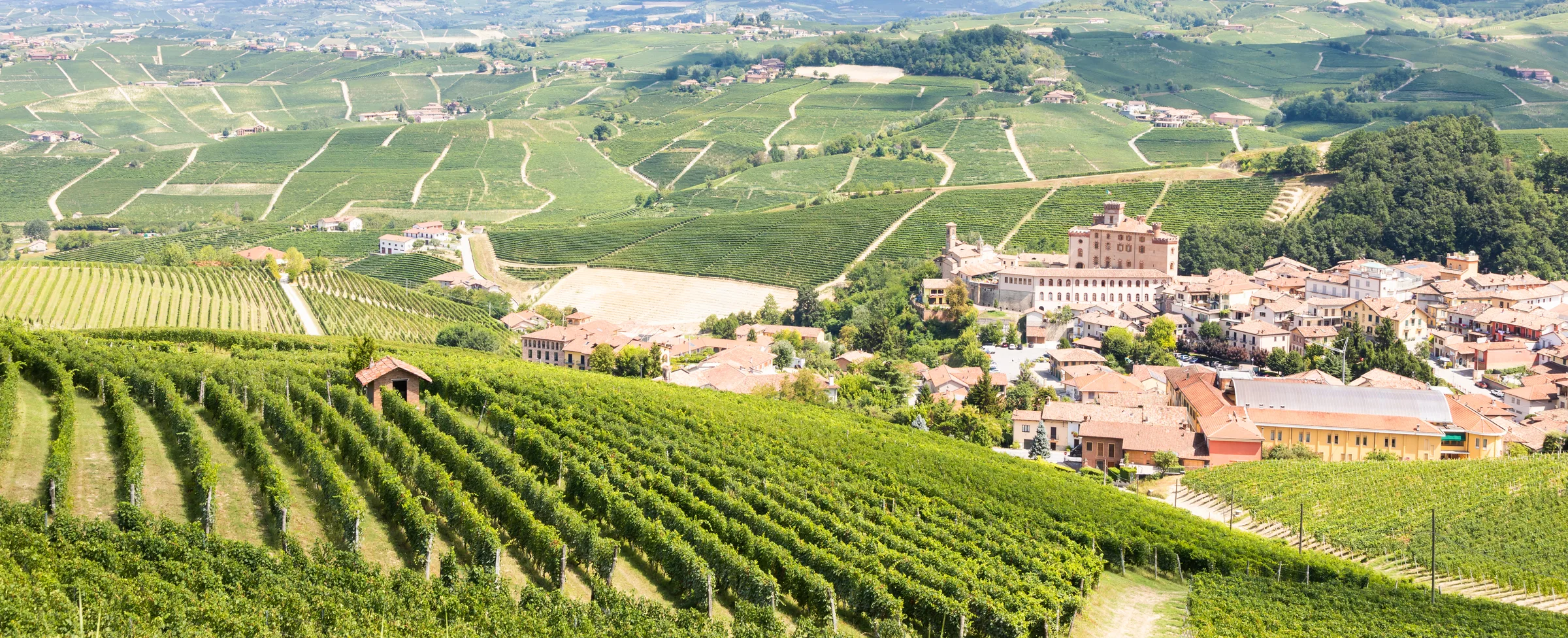 Barolo wine 2026