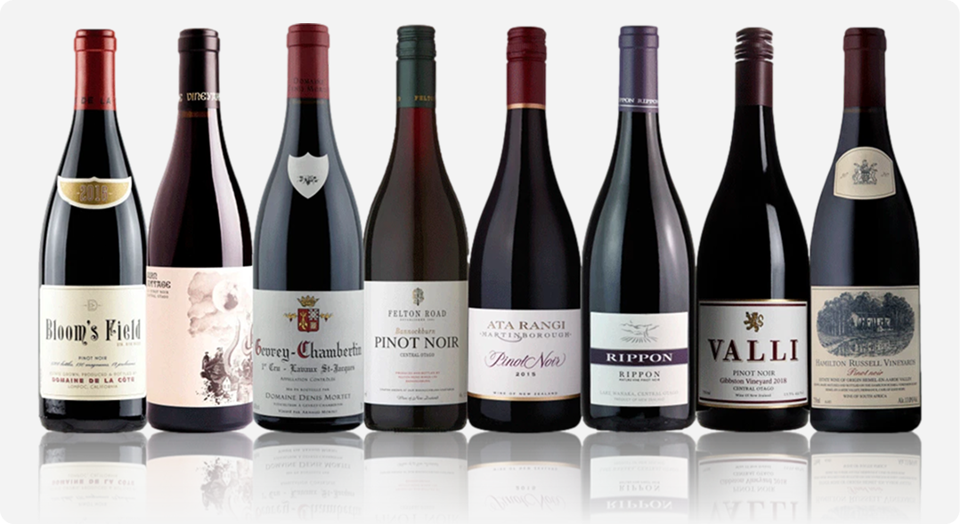 Best Pinot Noir Brands 2025