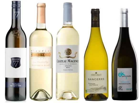 Best Sauvignon blanc brands in 2026