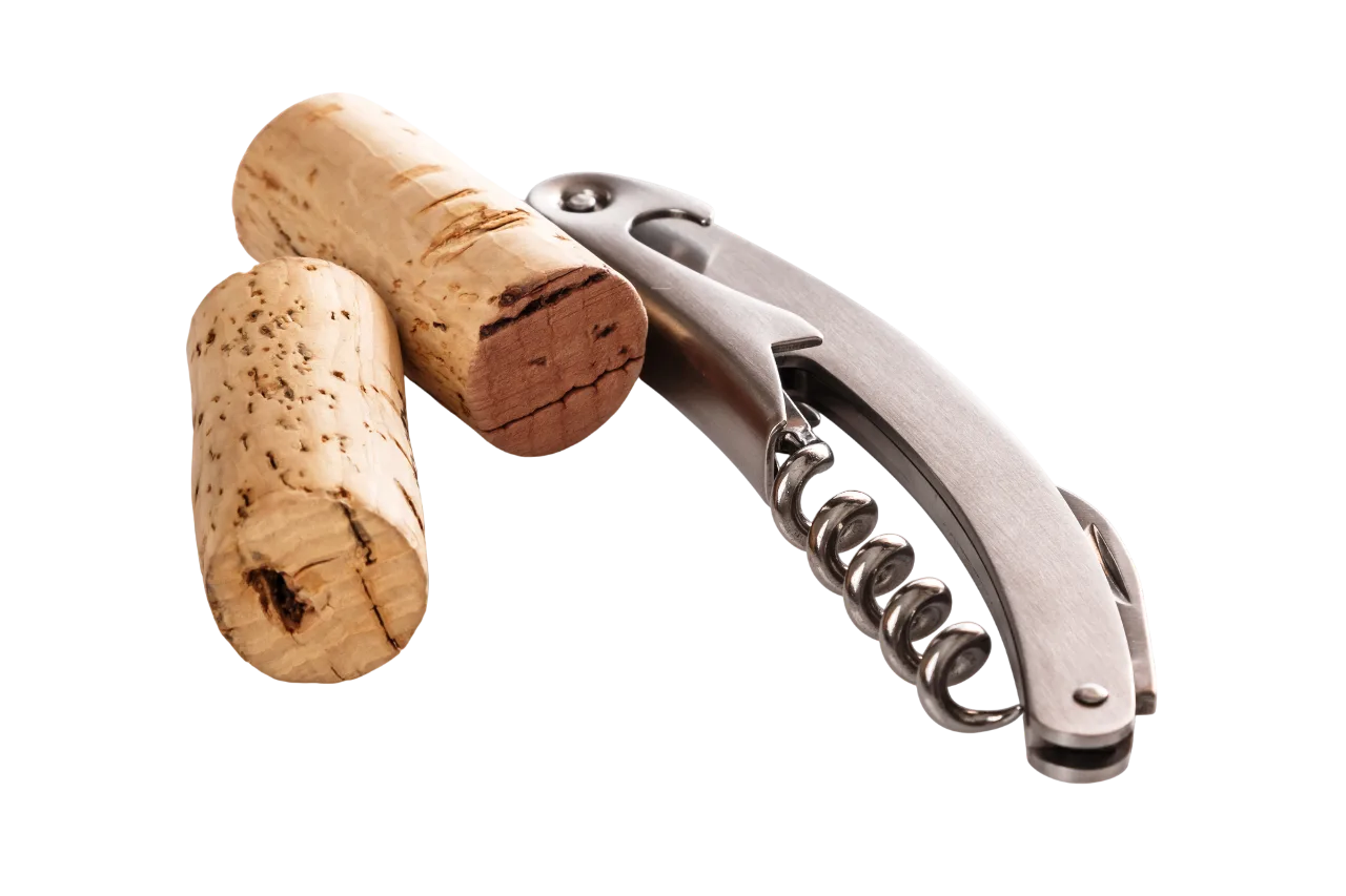 Best wine openers in 2026