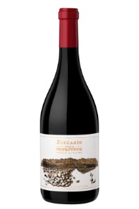 Finca Piedra Infinita Altamira – Familia Zuccardi Vineyards 2019