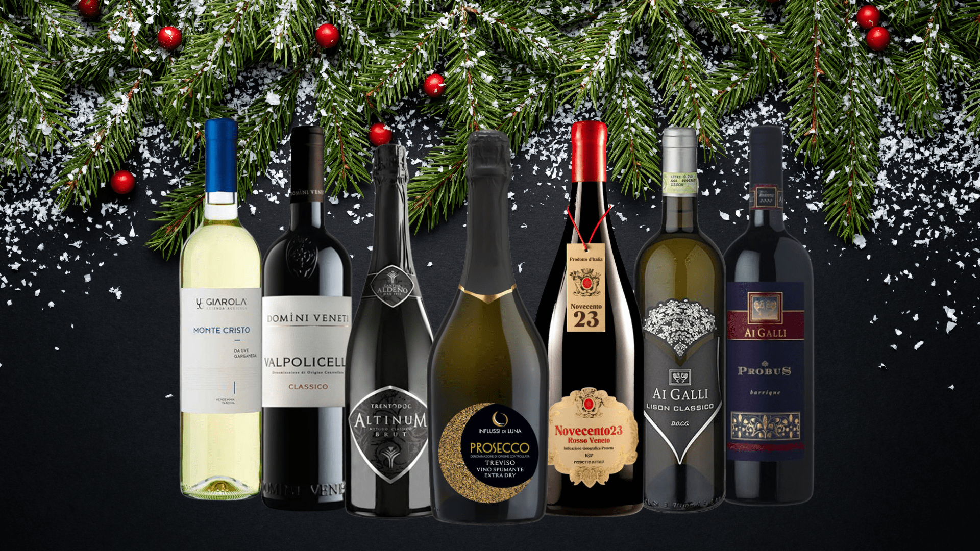 Italian Christmas red wines
