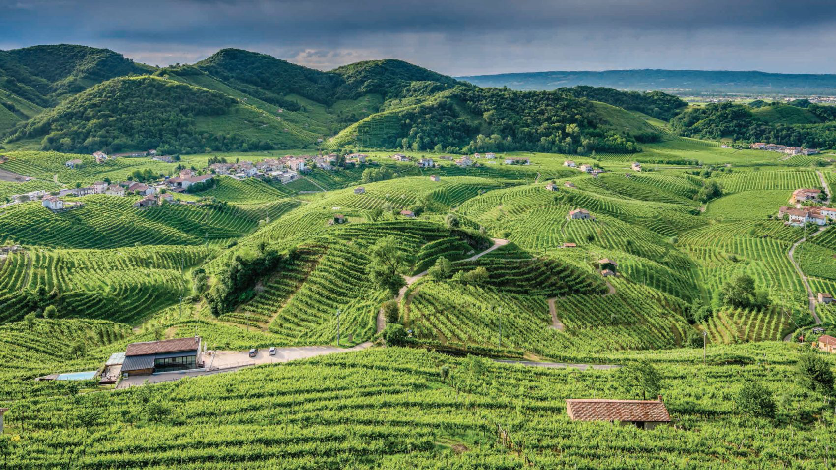 Prosecco Wine Region