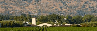 Mondavi wines
