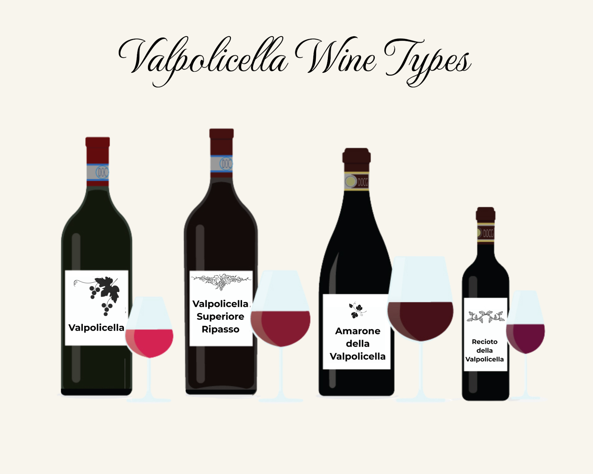 Valpolicella wine types