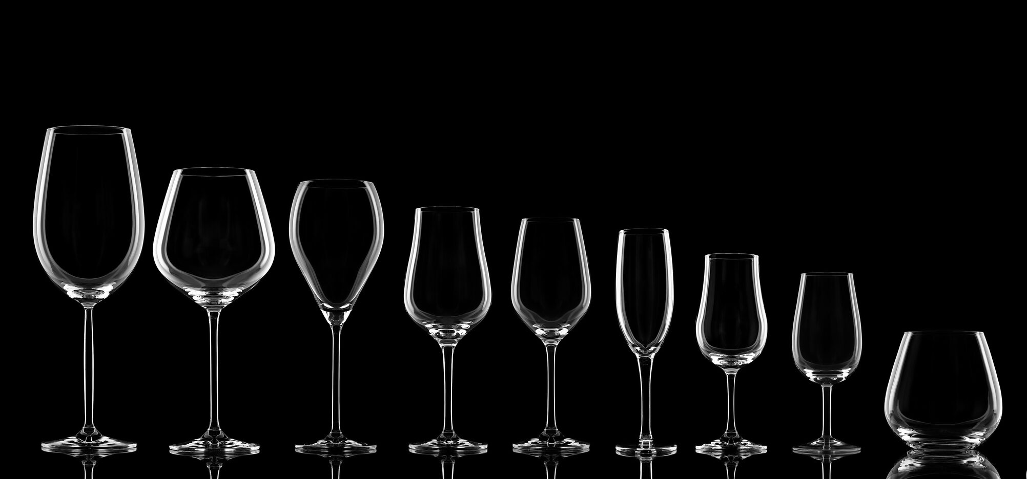 Types of Wine Glasses