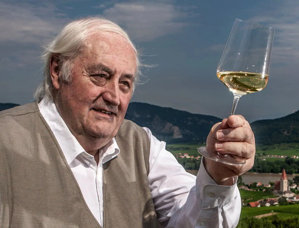 timeless design of Zalto crystal wine glasses