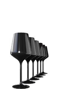 Exquisite – Black Plastic Wine Glasses, Set of 12