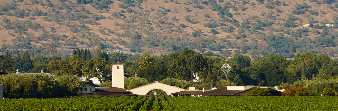 Robert Mondavi wine