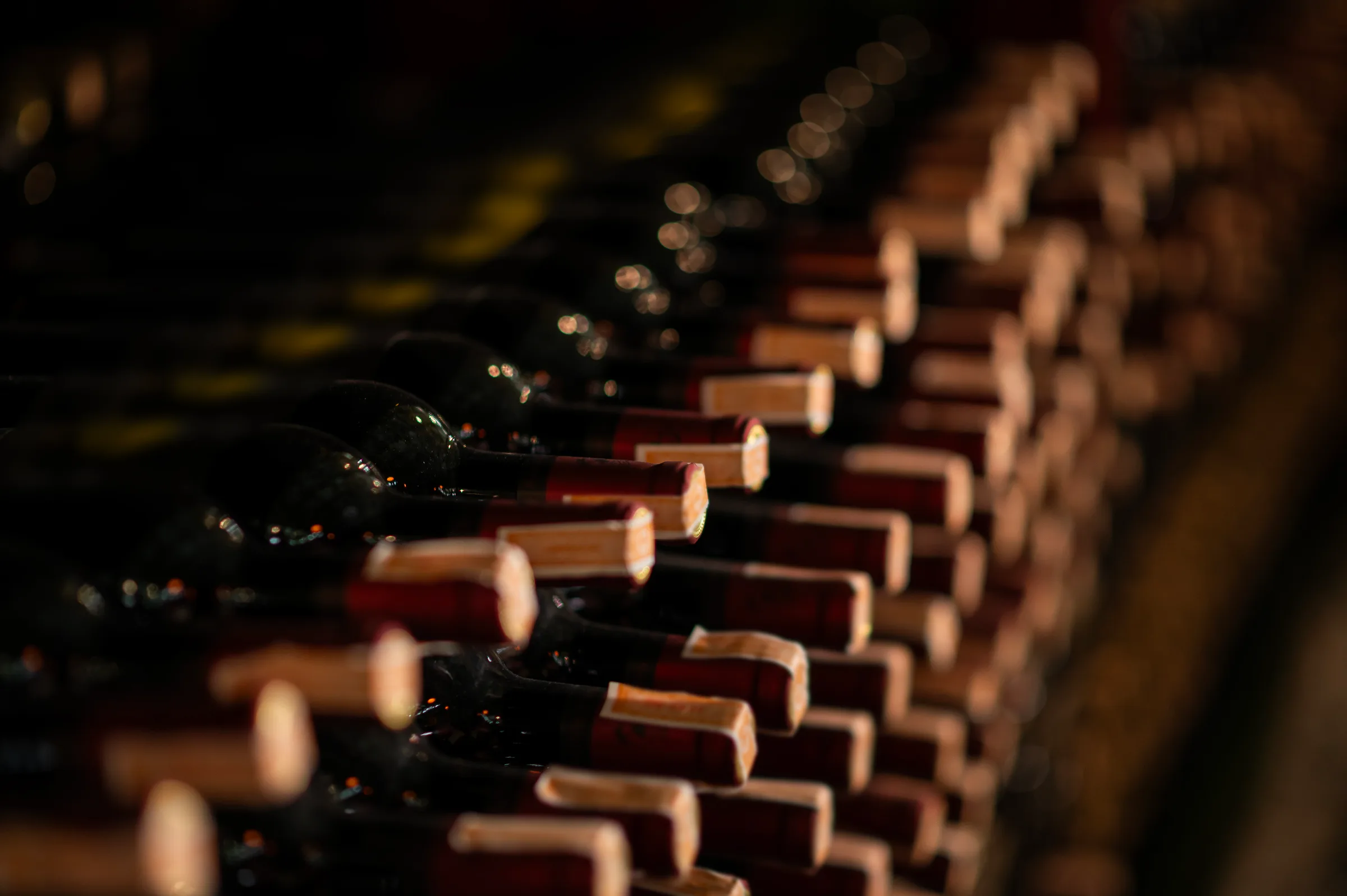 French Pinot Noir bottles to buy in 2026