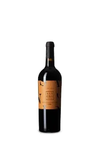 Terra Regia Montepulciano d’Abruzzo Riserva – Cantina Sangro 2019