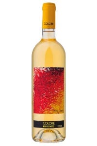 Bianco Colore – Bibi Graetz 2022 