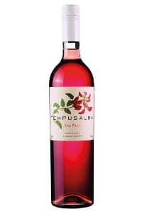 Rosado de Malbec – Tempus Alba 2023 