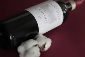 Best Chianti wine 2026